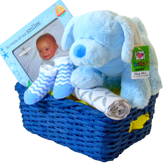 Baby Boy Basket Gift Blue