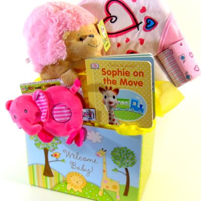 Baby Girl Basket Welcome Gift Box