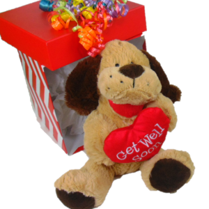 Get Well Soon Gift Box Kids with Puppy Stuffed Animal