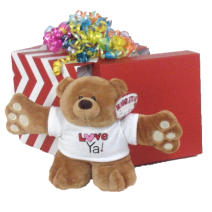 Gift Box Bear Hug Plush Toy