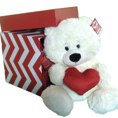 Red Heart Stuffie Gift Box
